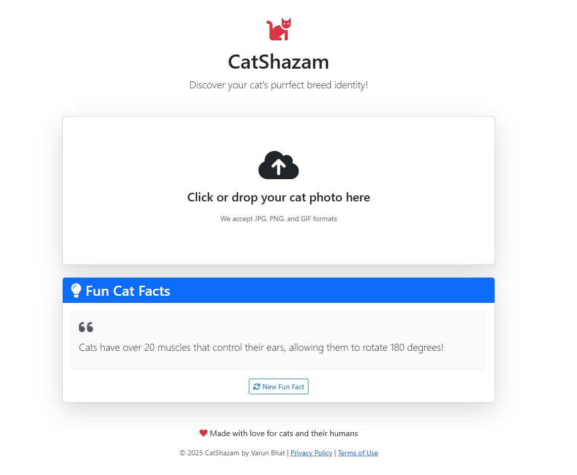 Shazam for Cats breed classifier application screenshot